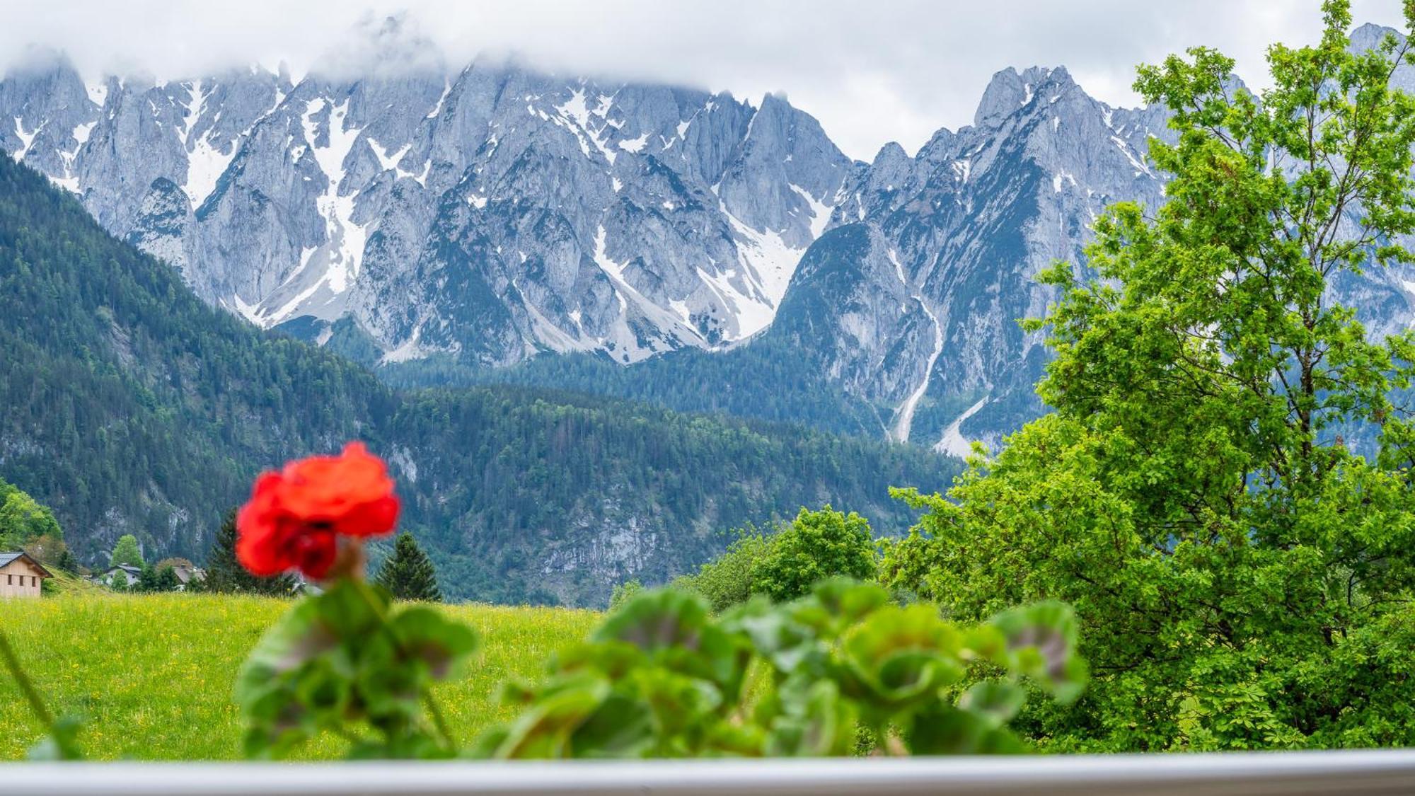 Hotel Haus Friedrich Gosau Zewnętrze zdjęcie